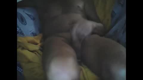 Snapshot of larop49 chatting on 10.06.25 Larop49 online show from 10.06.25