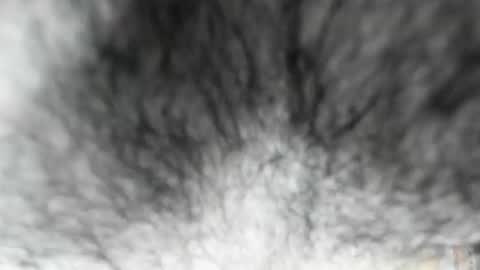 Snapshot of latinhotboys1 chatting on 02.03.26 Zeus online show from 02.03.26