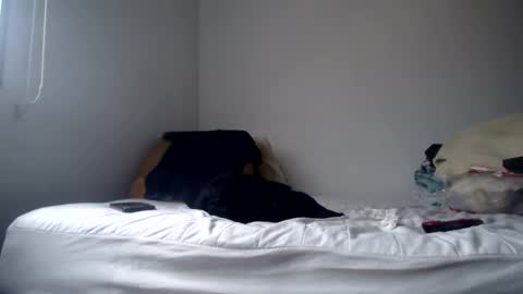 DEXTER online show from 02.24.25