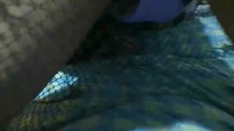 Snapshot of latinoboi2 chatting on 04.01.26 latinoboi2 online show from 04.01.26