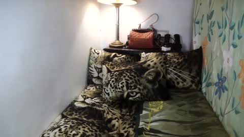 Snapshot of laureen_gavh chatting on 02.02.25 Belle online show from 02.02.25