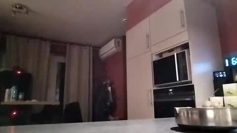 Law online show from 12.16.25