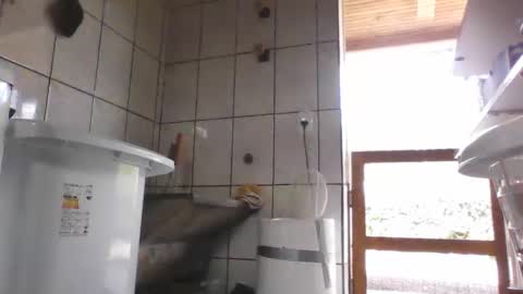 kelly online show from 02.12.25