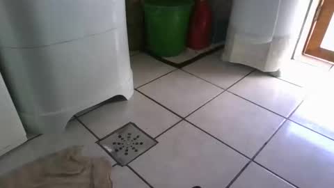 kelly online show from 03.07.25