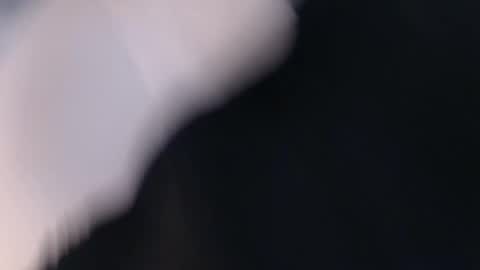 Snapshot of laylacruz chatting on 03.02.25 laylacruz online show from 03.02.25