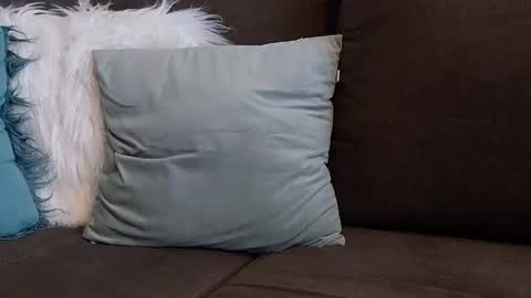 lazlow2000 online show from 01.07.26