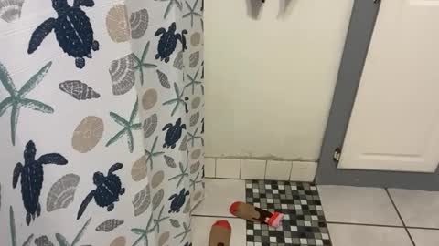 Snapshot of lazyladypug425146 chatting on 12.15.25 lazyladypug425146 online show from 12.15.25