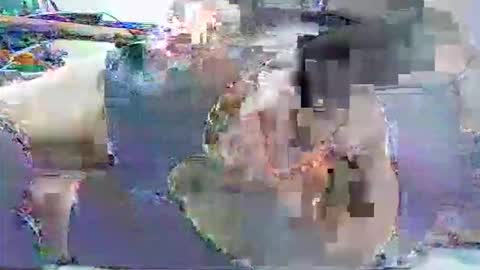 ldm0510 online show from 05.30.26