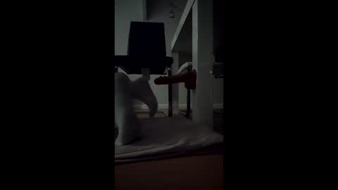 leehillery1 online show from 12.17.25