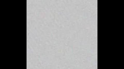 leejhonsonnn online show from 11.11.25