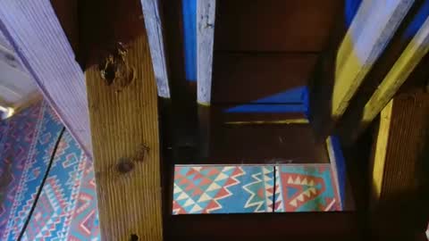 Dliciousman online show from 12.19.24