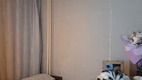 Mia online show from 04.24.26