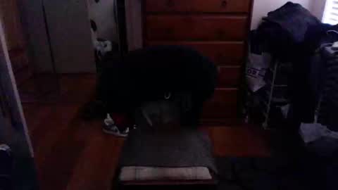 Snapshot of lennyfife chatting on 02.23.25 Pussylicker online show from 02.23.25