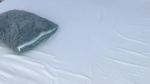 LUCY online show from 11.28.25