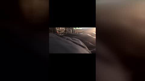 Leon online show from 03.01.26