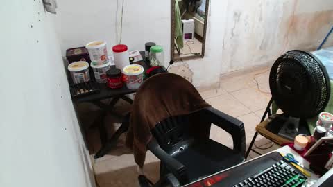 Snapshot of leonino231 chatting on 12.15.25 leonino231 online show from 12.15.25