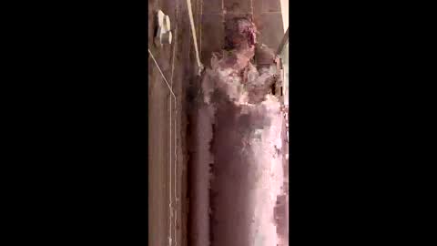 Rayne online show from 12.19.25