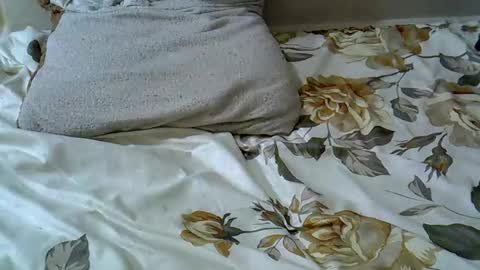letshaveitbby online show from 11.15.25