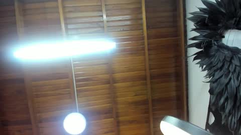 LevySteven online show from 11.07.25