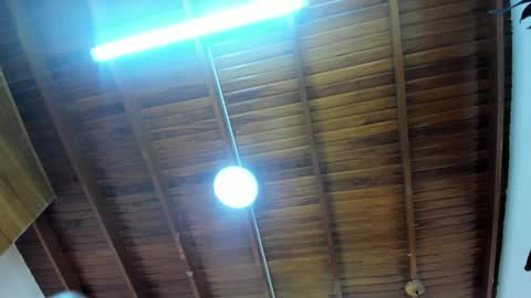 LevySteven online show from 11.23.25