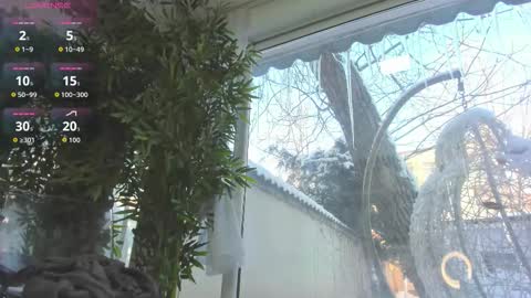 lexi_storm online show from 01.12.26