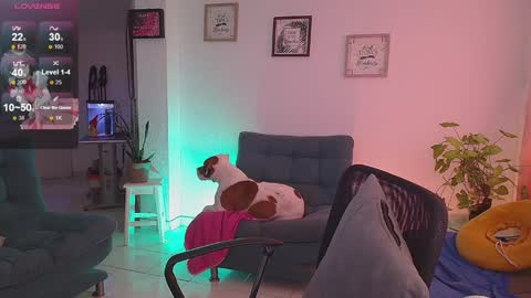 Snapshot of lexie_babe chatting on 12.16.24 Lexie Thompson   8pm  0000am -5 online show from 12.16.24