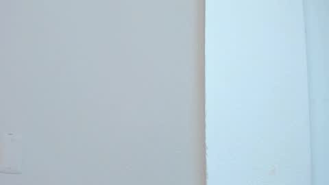 Snapshot of lia_ass chatting on 11.04.25 Liss 3 online show from 11.04.25