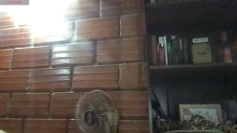 Amy online show from 03.07.26