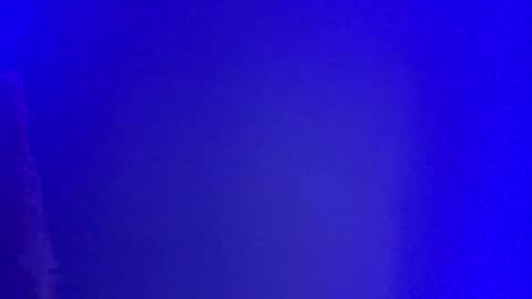 LickYourYoni online show from 01.01.25