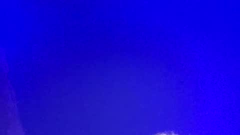 LickYourYoni online show from 03.03.25