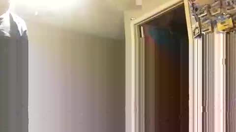 lie2ne online show from 11.16.25