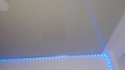 Snapshot of lil_lisaa chatting on 02.18.25 Lisaa online show from 02.18.25