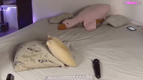 Snapshot of lil_nessa chatting on 02.18.25 Nessa Greyrat   if u like me tip 25 tk and put  online show from 02.18.25