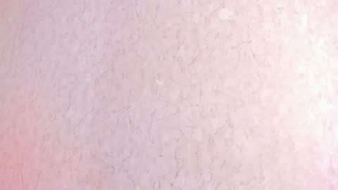 Snapshot of lila_cohen chatting on 02.04.25 L I L A online show from 02.04.25