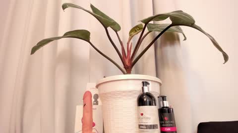 Lila online show from 01.15.25