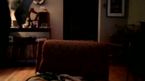 lildeer1980 online show from 01.08.25