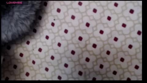 Snapshot of lildragon069 chatting on 12.07.24 lildragon069 online show from 12.07.24