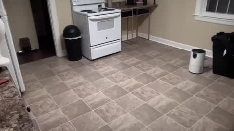 Snapshot of lilly_adams88 chatting on 02.21.25 lilly_adams88 online show from 02.21.25