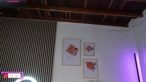 Sofia online show from 03.01.26