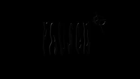 Snapshot of lilpresident chatting on 12.25.24 lilpresident online show from 12.25.24