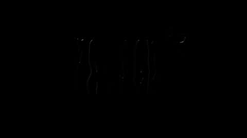 Snapshot of lilpresident chatting on 01.23.25 lilpresident online show from 01.23.25