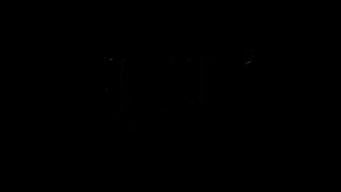 Snapshot of lilpresident chatting on 02.04.25 lilpresident online show from 02.04.25