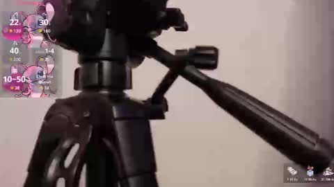 Lily online show from 11.07.25