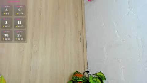 Snapshot of lily_evil chatting on 11.05.25 online show from 11.05.25