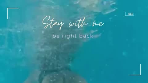 Lily online show from 09.11.25