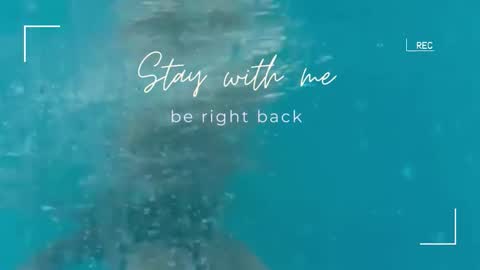 Lily online show from 09.22.25