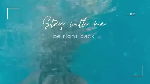 Lily online show from 09.23.25