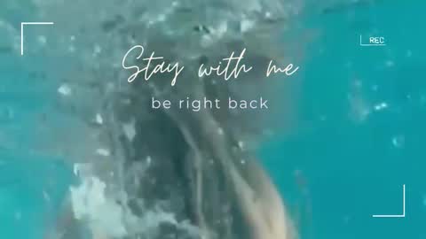 Lily online show from 09.30.25