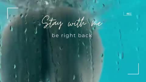 Snapshot of lily_foster_ chatting on 12.19.25 Lily online show from 12.19.25