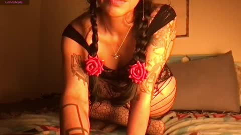 Little Lily online show from 04.23.26